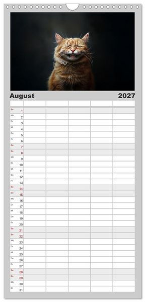 Produktbild: Familienplaner 2027 - Auch Katzen lachen gern mit 5 Spalten (Wandkalender, 21 x 45 cm) CALVENDO