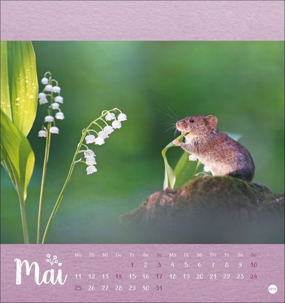 Produktbild: Vadim Trunov: Märchenhaftes Waldleben Postkartenkalender 2026