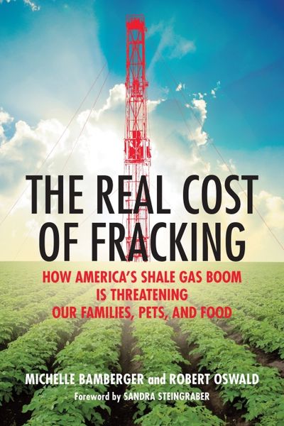 Produktbild: Robert Oswald, M: Real Cost of Fracking