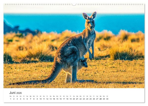 Produktbild: Faszination Australien - Impressionen vom Land Down Under (Wandkalender 2026 DIN A2 quer), CALVENDO Monatskalender