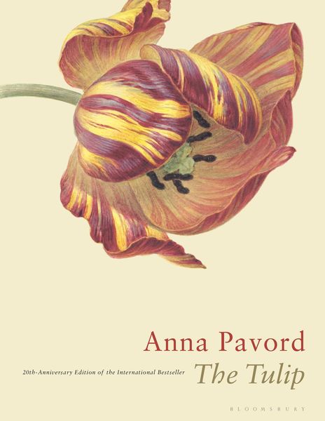 Produktbild: The Tulip