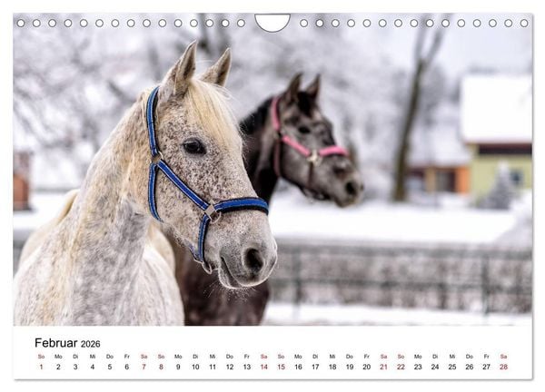 Produktbild: Masuren 2026 - Land der 1000 Seen (Wandkalender 2026 DIN A4 quer), CALVENDO Monatskalender