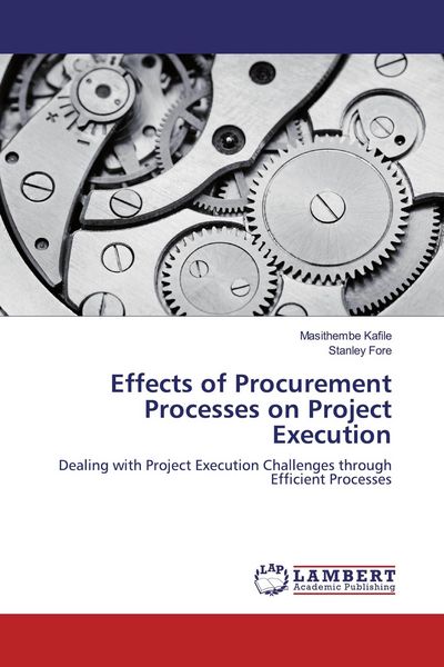 Produktbild: Effects of Procurement Processes on Project Execution