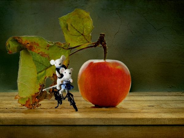 Produktbild: CALVENDO Puzzle Familie Maus und der Apfel | 1000 Teile Lege-Gr&ouml;&szlig;e 64x48cm Foto-Puzzle f&uuml;r gl&uuml;ckliche Stunden