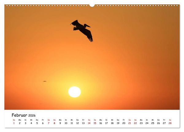 Produktbild: Eine Reise ins magische Donaudelta (Wandkalender 2026 DIN A2 quer), CALVENDO Monatskalender