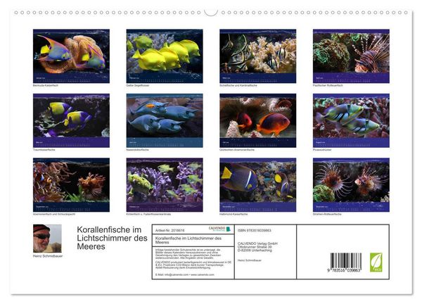 Produktbild: Korallenfische im Lichtschimmer des Meeres (hochwertiger Premium Wandkalender 2026 DIN A2 quer), Kunstdruck in Hochglanz