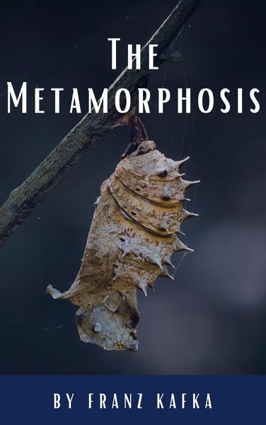 Produktbild: The Metamorphosis