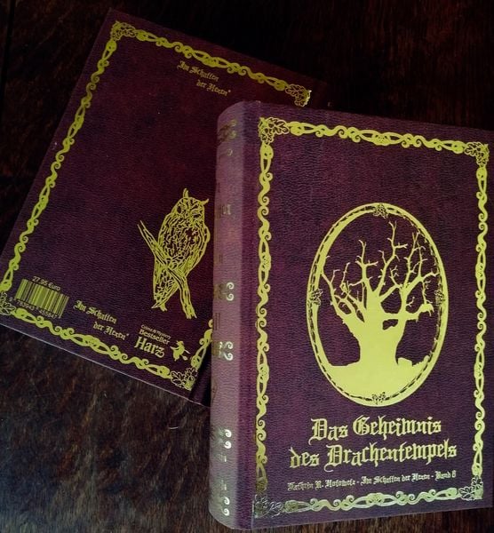 Produktbild: Im Schatten der Hexen VIII