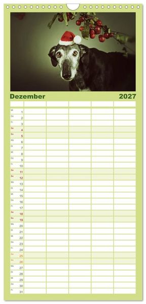 Produktbild: Familienplaner 2027 - Der Windhundekalender mit 5 Spalten (Wandkalender, 21 x 45 cm) CALVENDO