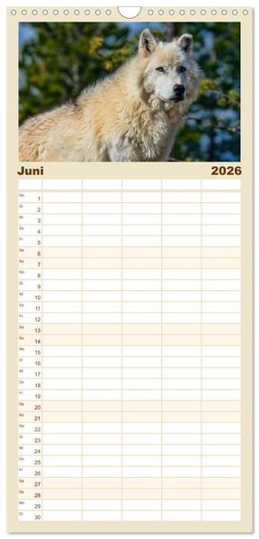 Produktbild: Familienplaner 2026 - W&ouml;lfe - sie sind wieder da mit 5 Spalten (Wandkalender, 21 x 45 cm) CALVENDO