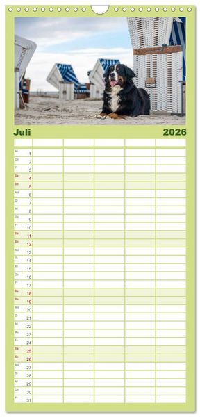 Produktbild: Familienplaner 2026 - Liebling BERNER SENNENHUND mit 5 Spalten (Wandkalender, 21 x 45 cm) CALVENDO