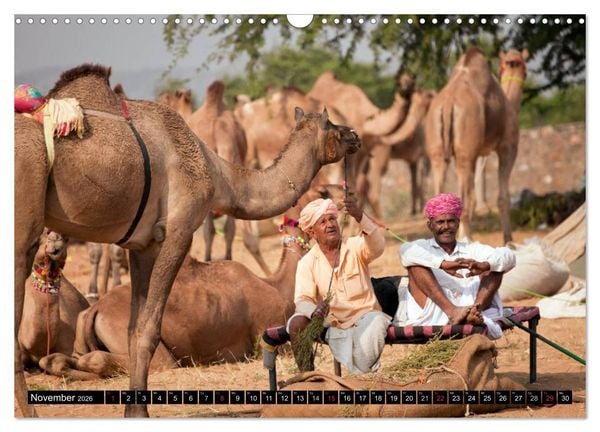 Produktbild: Indien - Rajasthan (Wandkalender 2026 DIN A3 quer), CALVENDO Monatskalender