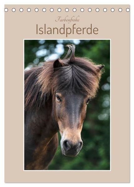 Produktbild: Farbenfrohe Islandpferde (Tischkalender 2026 DIN A5 hoch), CALVENDO Monatskalender