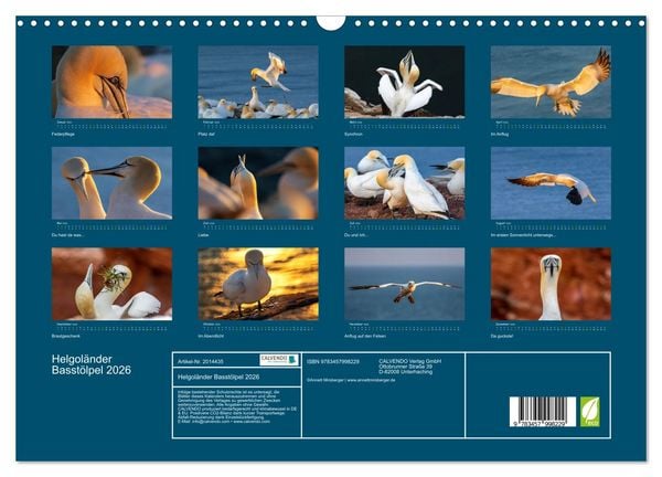 Produktbild: Helgol&auml;nder Basst&ouml;lpel 2026 (Wandkalender 2026 DIN A3 quer), CALVENDO Monatskalender