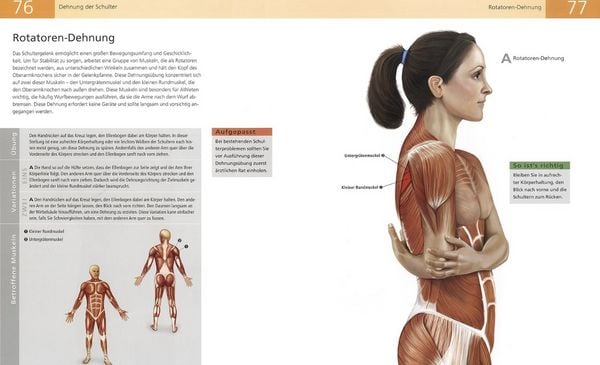 Produktbild: Die Anatomie des Stretchings