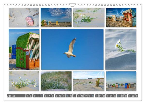 Produktbild: Naturcollagen 2026 (Wandkalender 2026 DIN A3 quer), CALVENDO Monatskalender