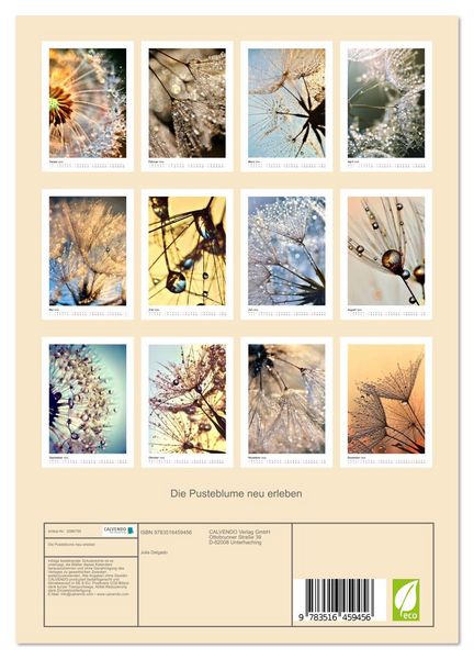 Produktbild: Die Pusteblume neu erleben (Wandkalender 2026 DIN A4 hoch), CALVENDO Monatskalender