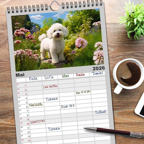 Produktbild: Familienplaner 2026 - Bichon fris&eacute;, wei&szlig;e H&uuml;ndchen mit lockigem Haar mit 5 Spalten (Wandkalender, 21 x 45 cm) CALVENDO