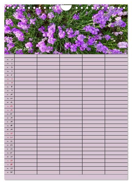 Produktbild: Naturzauber Lavendel - Familienplaner (Wandkalender 2026 DIN A4 hoch), CALVENDO Monatskalender