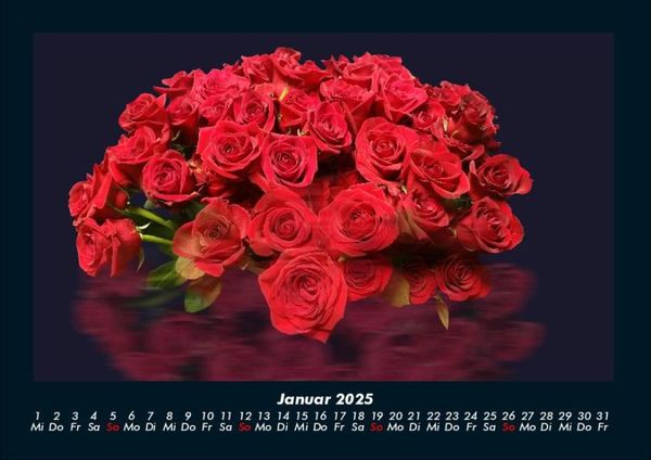 Produktbild: Rosen-Kalender 2025 Fotokalender DIN A4