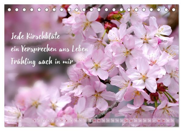 Produktbild: Haiku Poesie in Wort und Bild (Tischkalender 2026 DIN A5 quer), CALVENDO Monatskalender