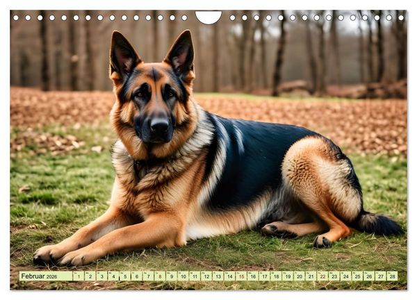Produktbild: Deutscher Sch&auml;ferhund - Inbegriff der Treue (Wandkalender 2026 DIN A4 quer), CALVENDO Monatskalender