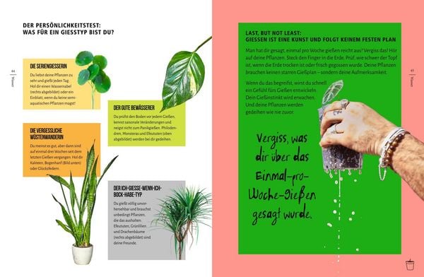 Produktbild: You're overwatering it!