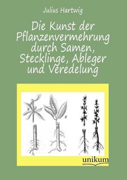 Produktbild: Hartwig, J: Kunst der Pflanzenvermehrung durch Samen, Steckl