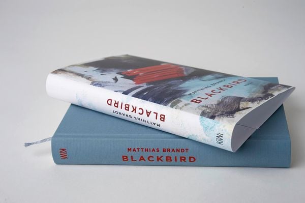 Produktbild: Blackbird