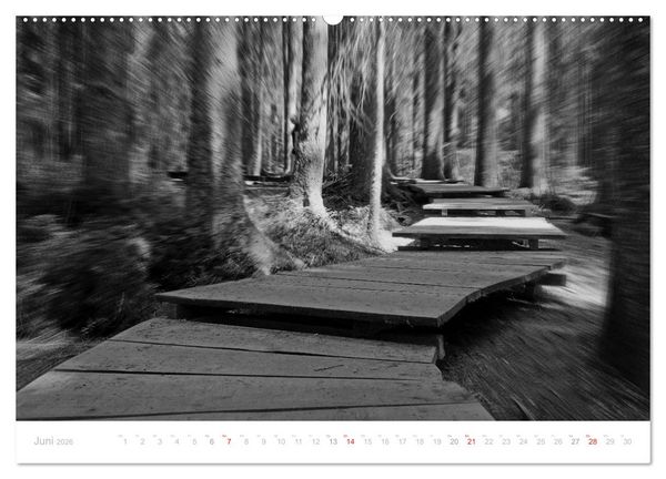 Produktbild: Mystischer Schwarzwald (Wandkalender 2026 DIN A2 quer), CALVENDO Monatskalender