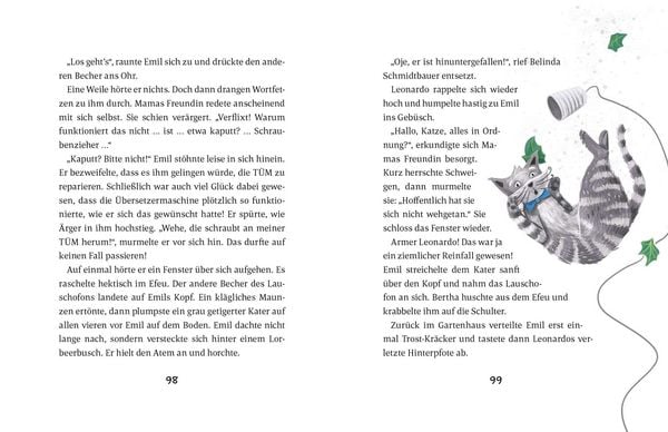 Produktbild: Emil Einstein (Bd. 6)