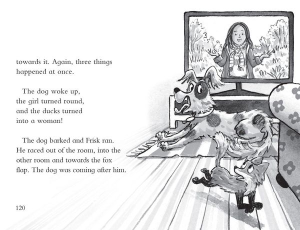 Produktbild: JULIA DONALDSONS BK OF PB