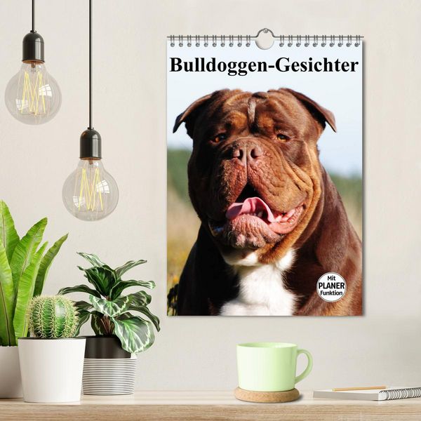 Produktbild: Bulldoggen-Gesichter (Wandkalender 2026 DIN A4 hoch), CALVENDO Monatskalender