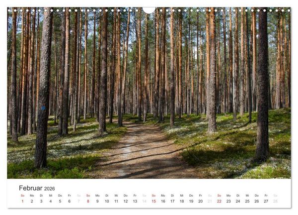 Produktbild: Naturparadies Finnland (Wandkalender 2026 DIN A3 quer), CALVENDO Monatskalender