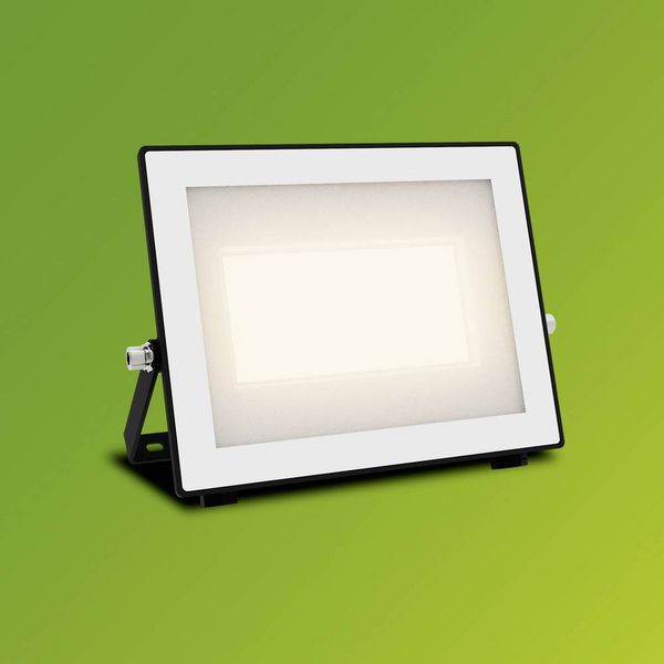 Produktbild: Philips LED Lois 929004642001 LED-Au&szlig;enstrahler 50W Leuchtfarben: Warmwei&szlig;