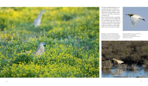 Produktbild: Naturerlebnis Mallorca