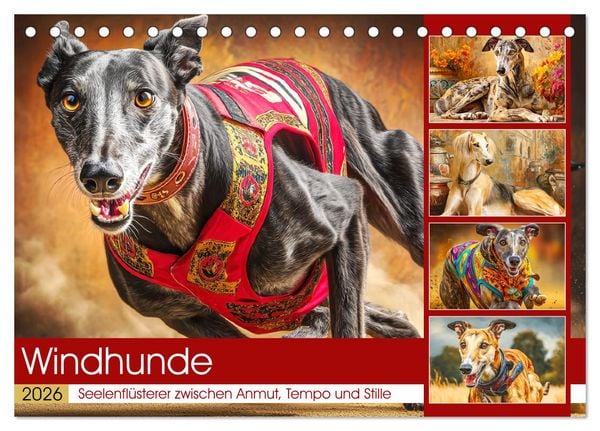 Produktbild: Windhunde. Seelenfl&uuml;sterer zwischen Anmut, Tempo und Stille (Tischkalender 2026 DIN A5 quer), CALVENDO Monatskalender