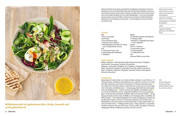 Produktbild: Wildkräuter – Bestimmen, Sammeln, Zubereiten