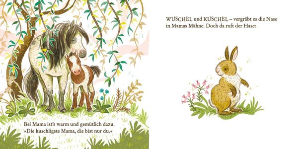 Produktbild: Hallo, kleines Pony
