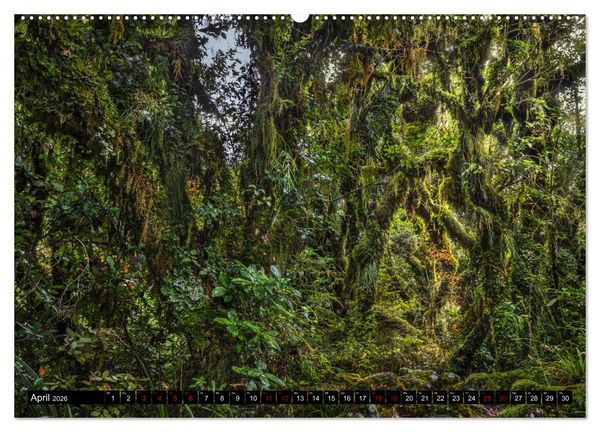 Produktbild: Trauminseln Neuseeland (Wandkalender 2026 DIN A2 quer), CALVENDO Monatskalender