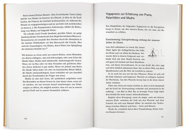 Produktbild: Yoga der Energie