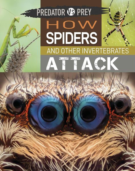 Produktbild: Predator vs Prey: How Spiders and other Invertebrates Attack