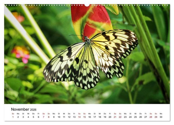 Produktbild: Philippinen - Faszinierende Inselwelten (hochwertiger Premium Wandkalender 2026 DIN A2 quer), Kunstdruck in Hochglanz