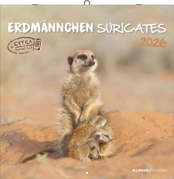 Alpha Edition - Erdmännchen Kalender 2026 – Wandkalender 30x30 cm – Für Tierfreunde & Erdmännchen-Fans – 12 bezaubernde Fotografien, viel Platz für