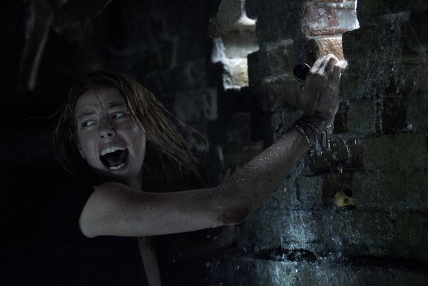 Produktbild: Crawl