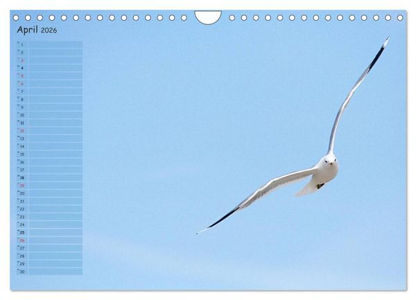 Produktbild: Rund um K&uuml;hlungsborn (Wandkalender 2026 DIN A4 quer), CALVENDO Monatskalender