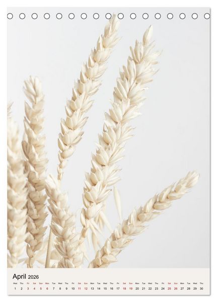 Produktbild: Dried Flowers (Desk Calendar 2026 DIN A5 portrait), CALVENDO 12 Month DeskCalendar