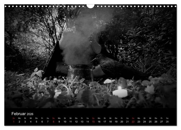 Produktbild: Hexen (Wandkalender 2026 DIN A3 quer), CALVENDO Monatskalender