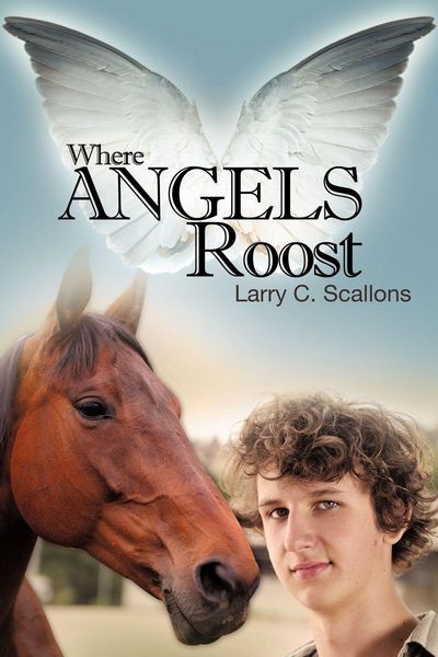 Produktbild: Where Angels Roost