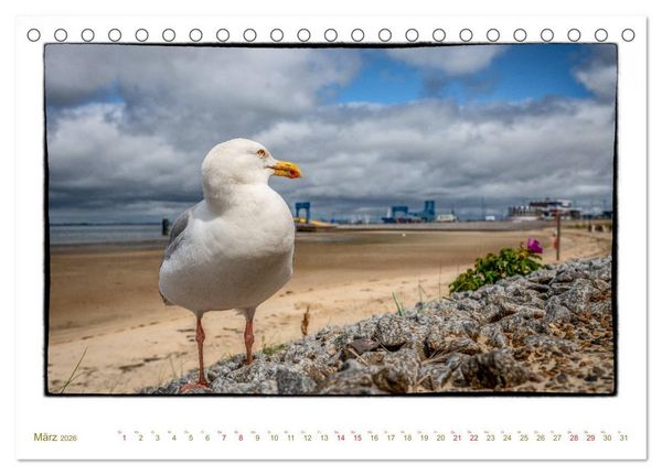 Produktbild: Amrum, inspirierende Landschaft (Tischkalender 2026 DIN A5 quer), CALVENDO Monatskalender